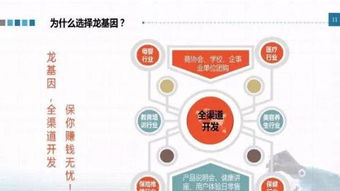 龙基因加盟 实体店培训成就火爆加盟店，教育信息咨询助力创业成功